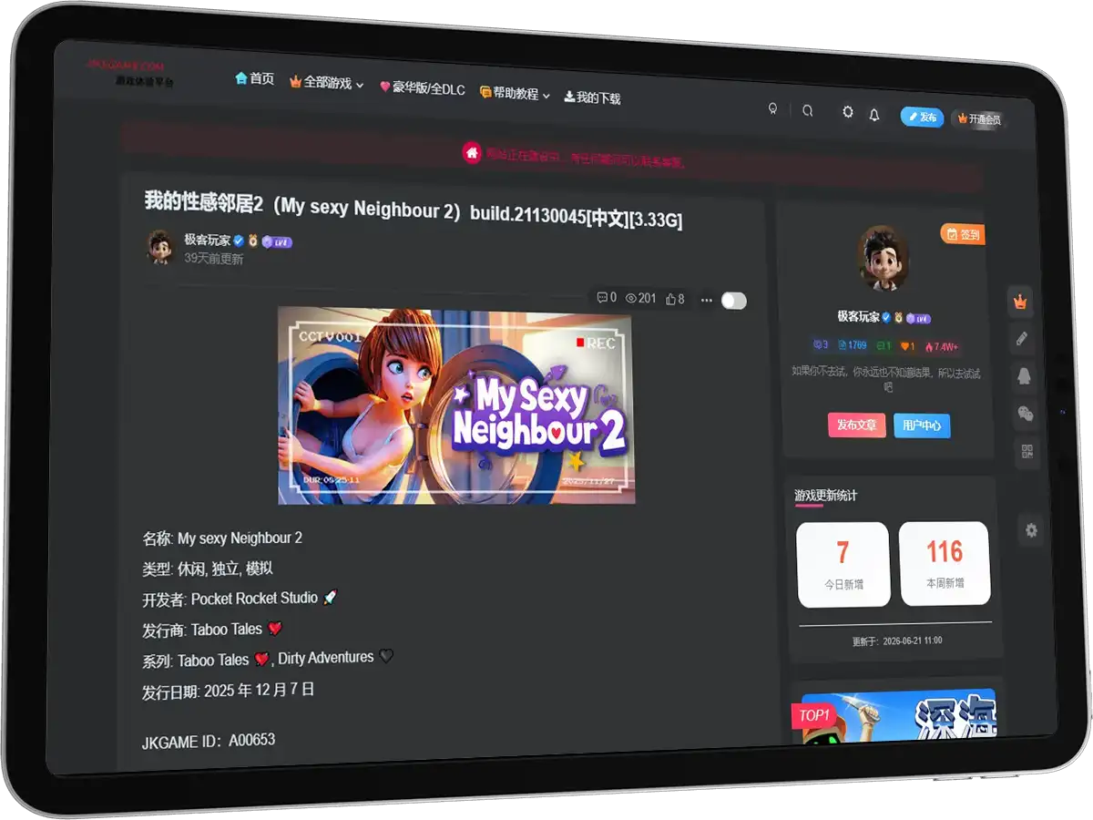 极客游戏